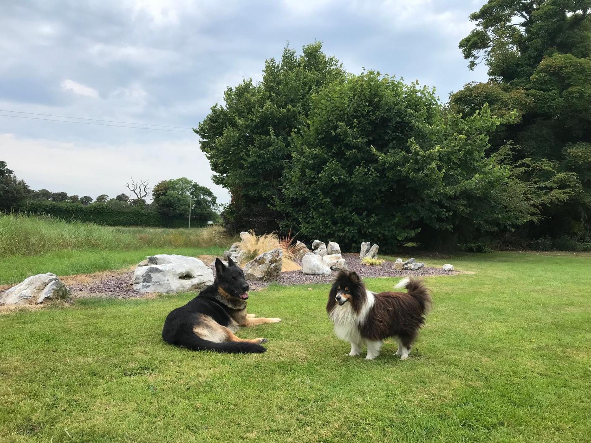 Grove House Country Rooms Shanballymore Luaran gambar