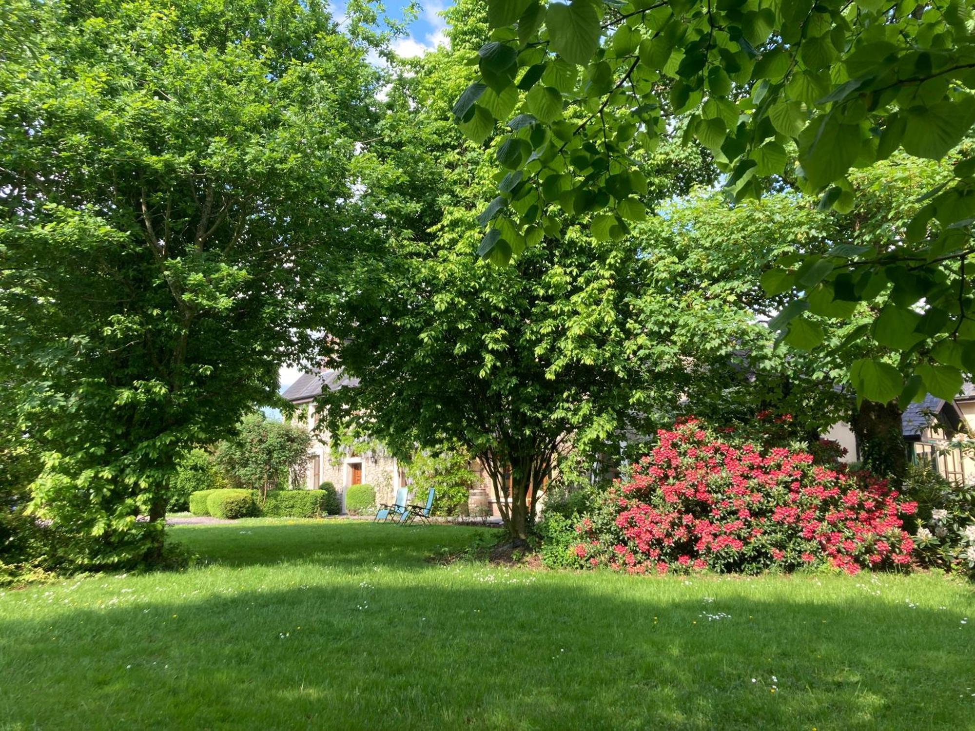 Grove House Country Rooms Shanballymore Luaran gambar